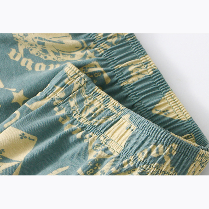 1Pcs Mens Aro Pants Cotton Box - Boyshort Underwear avis et prix