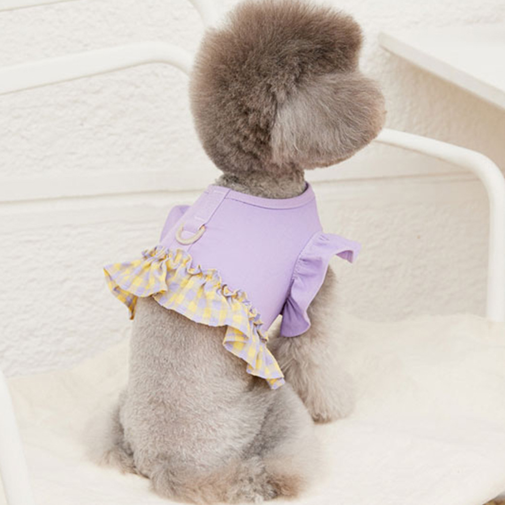 Dog Color Contrast Traction Ro - Lace Teddy Lingerie avis et prix