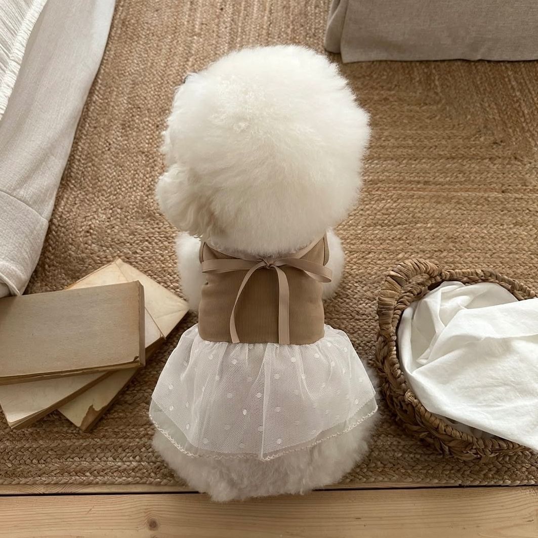 Spring and Summer Pet Lace Cam - Lace Teddy Lingerie avis et prix