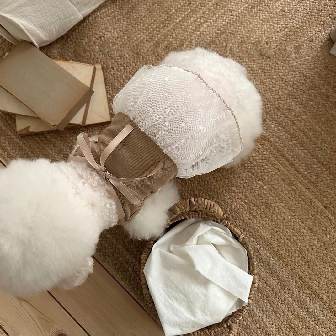 Spring and Summer Pet Lace Cam - Lace Teddy Lingerie avis et prix