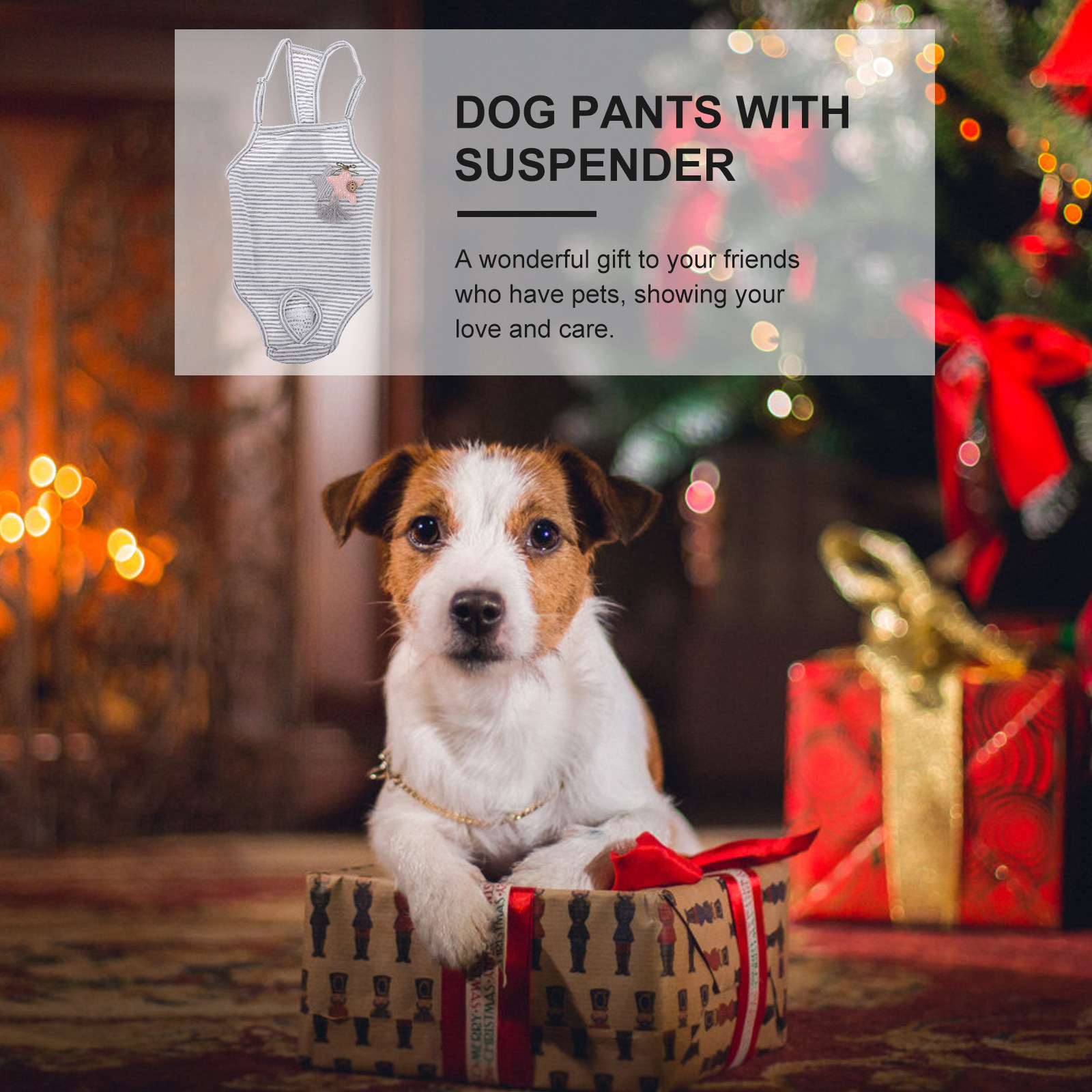 Premium Cloth Dog Diaper Pants - Period Panty Absorbent avis et prix